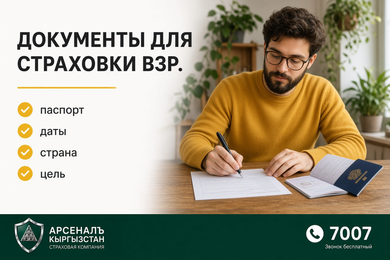 Чет өлкөгө чыгуу камсыздандыруусу үчүн документтер