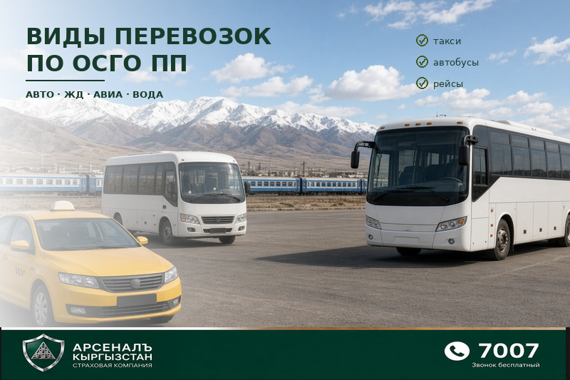 ОСГО ПП боюнча ташуу түрлөрү